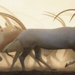 Emociones en peligro